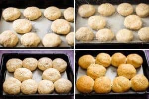Bread rolls shaped, risen, and baked
